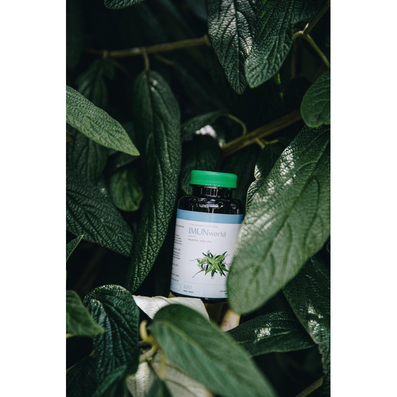 MUNworld - A. paniculata - 15x silnější než ostropestřec