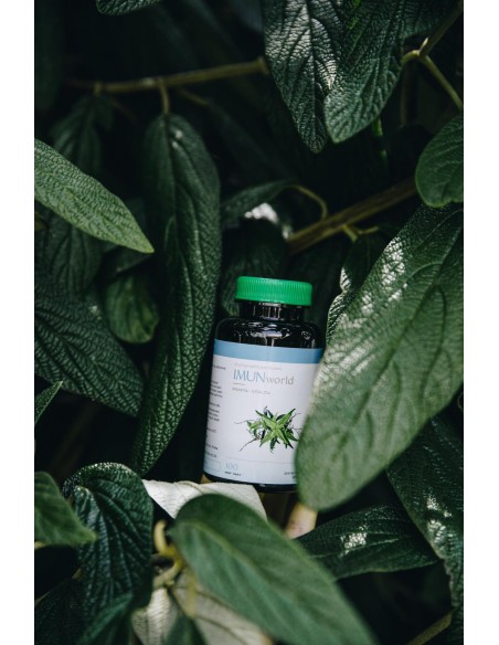 MUNworld - A. paniculata - 15x silnější než ostropestřec