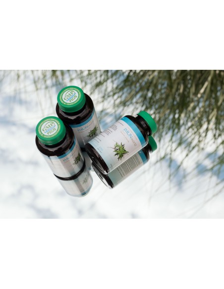 MUNworld - A. paniculata - 15x silnější než ostropestřec