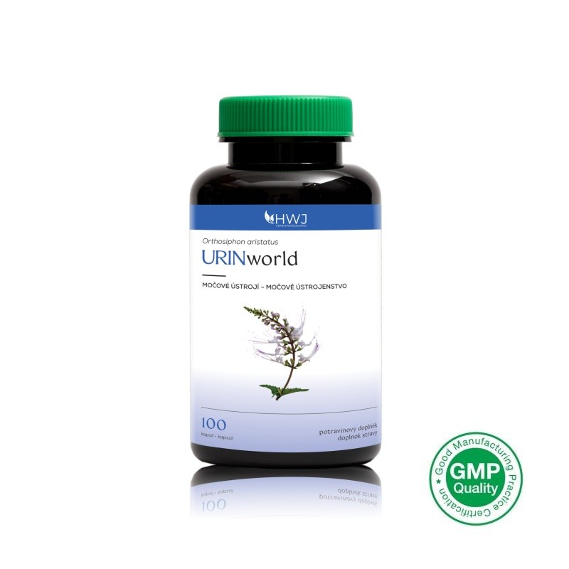 URINworld - Orthosiphon aristatus - močové ústrojí