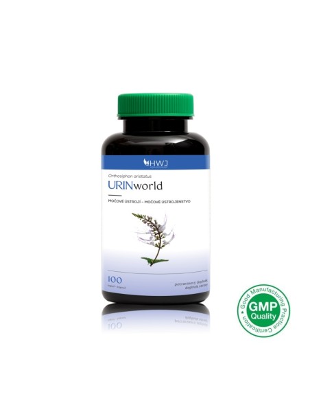 URINworld - Orthosiphon aristatus - močové ústrojí