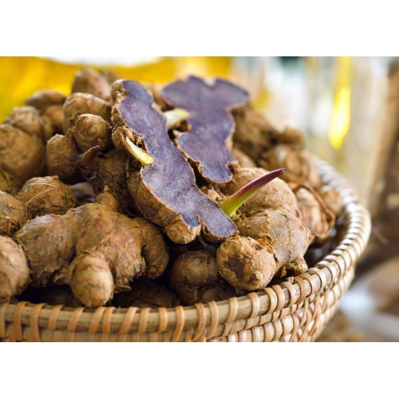 STRONGMANworld - MAXI balení - 4 (+2...