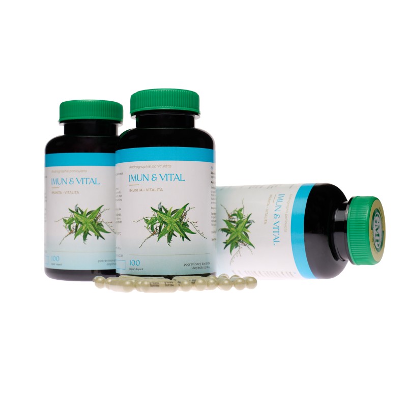 IMUNworld (nově IMUN & VITAL) - měsíční kúra - 2 (+1 zdarma) - Právenka latnatá, 15x silnější než ostropestřec