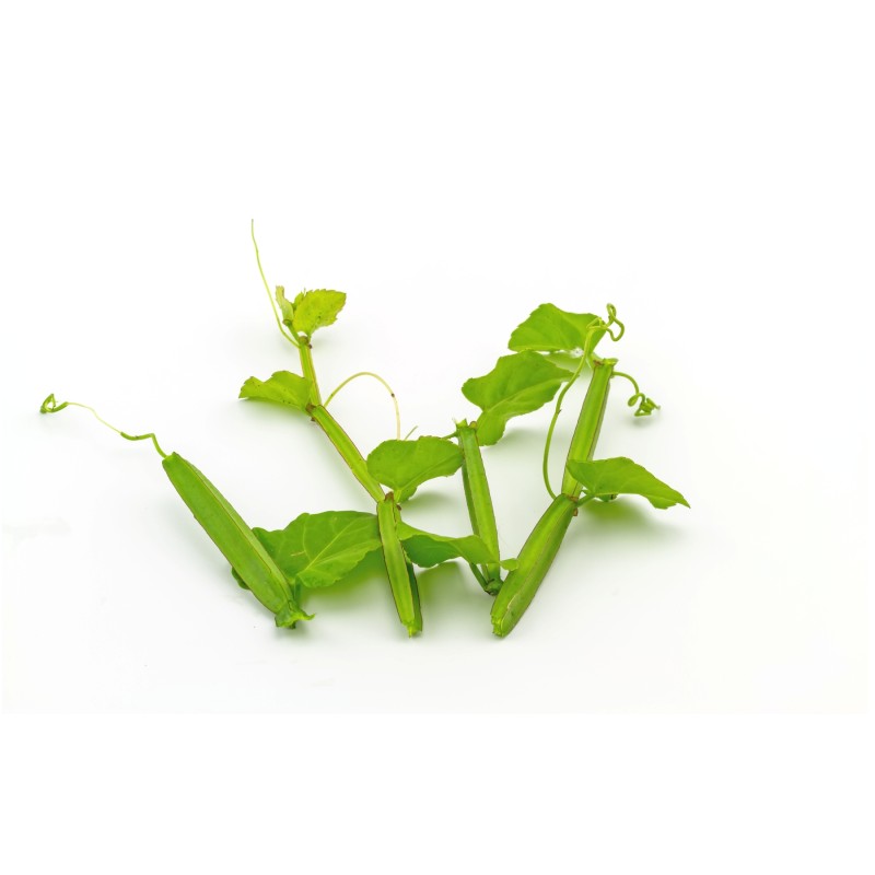 HEMOworld - měsíční kúra - 2 (+1...